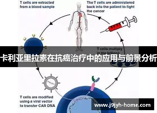 卡利亚里拉素在抗癌治疗中的应用与前景分析